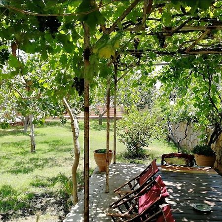 Villa Eleana ハニア エクステリア 写真